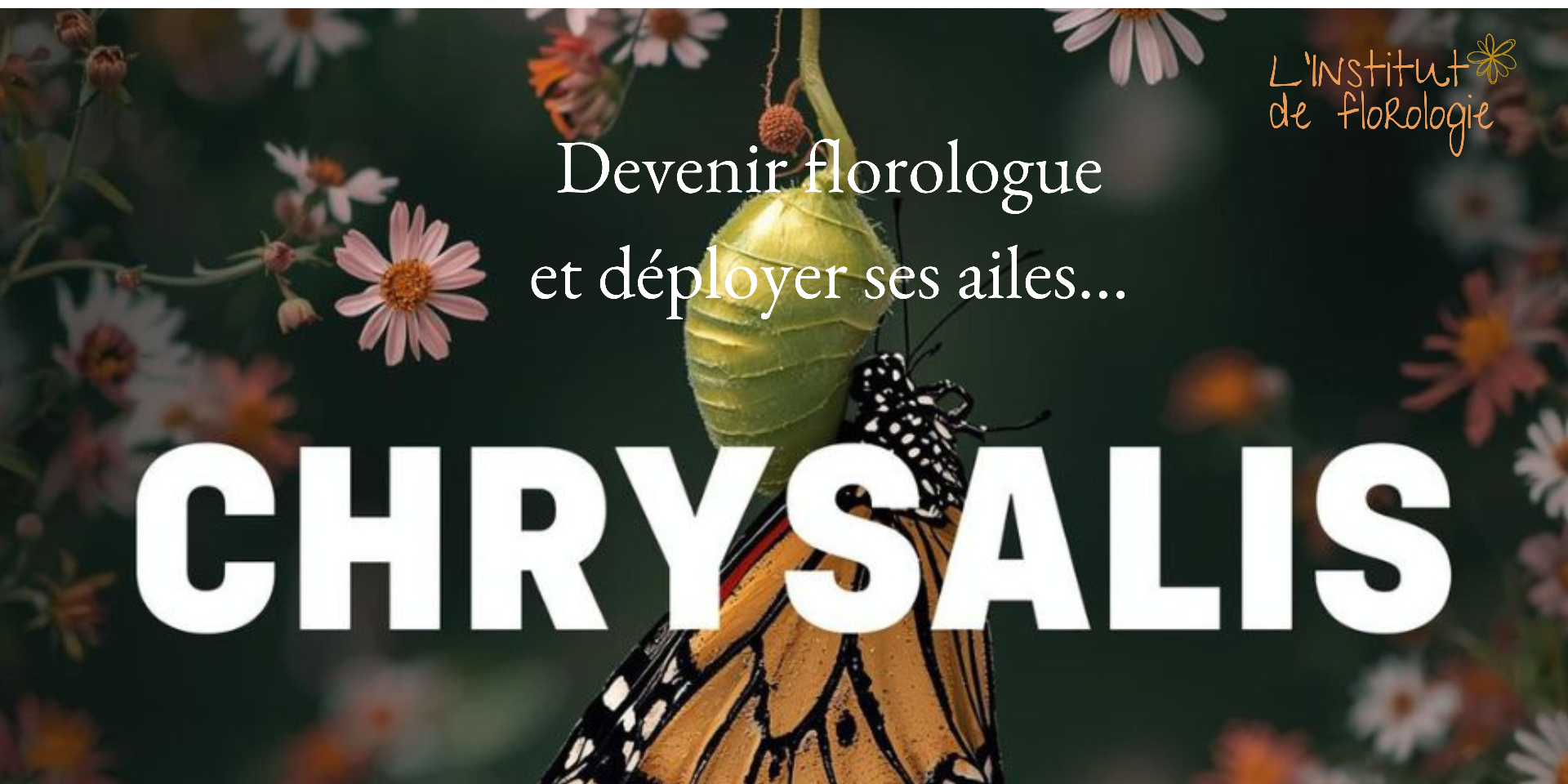 Chrysalis : unifier corps et coeur — Devenir florologue et déployer ses ailes
